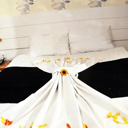 Strazburg 2* Άγκυρα